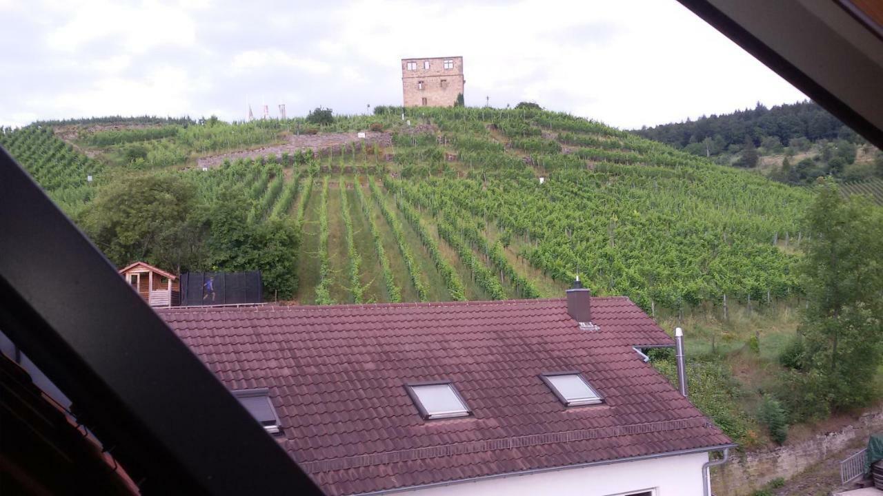 Giebelzimmer Mit Weinbergblick 施泰滕 外观 照片